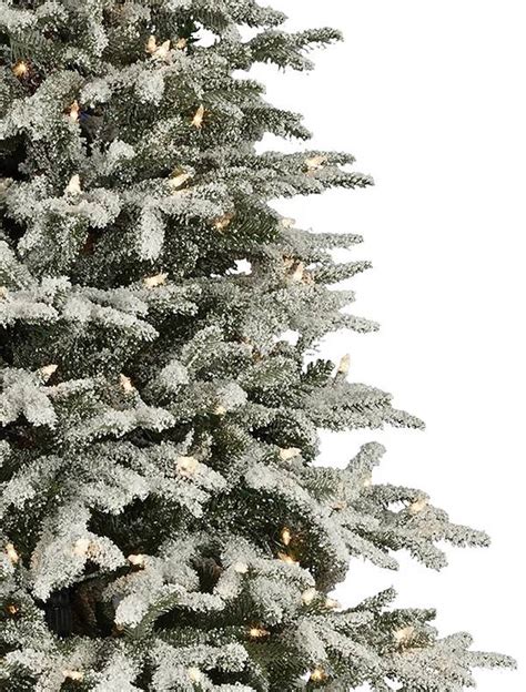 Frosted Fraser Fir Narrow Christmas Tree Balsam Hill