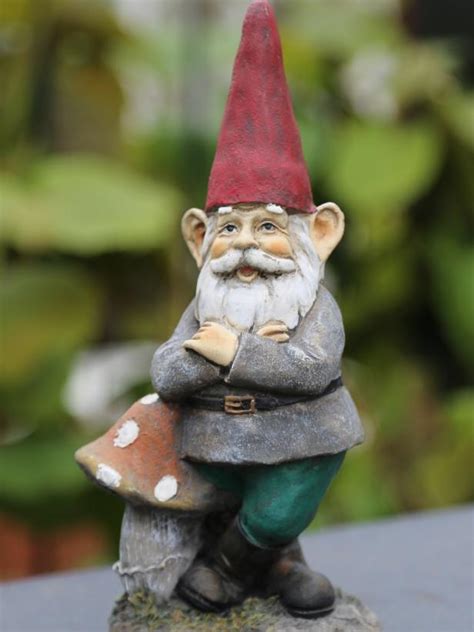 Garden gnomes are a suburban staple, decorating kitschy neighborhoods all around the world. Garden Gnome Gallery | HGTV