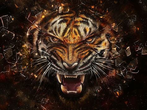 Tiger Roar Wallpapers Wallpaper Cave