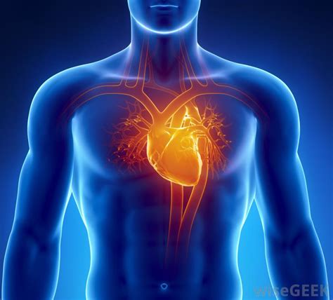 Heart Disease Predictive Analytics Azure Ai Gallery
