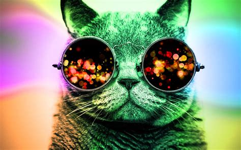 Cat With Sunglasses Wallpaper By Softmage On Deviantart
