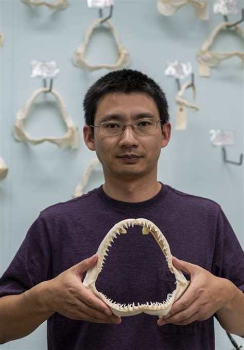 Dna Unlocks Shark Bite Mystery Nearly 25 Years Later