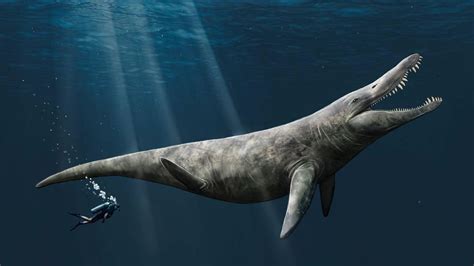 Size Of Jurassic Sea Giant Found Study Says Cnn