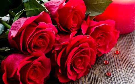 86 Beautiful Rose Hd Wallpapers On Wallpapersafari