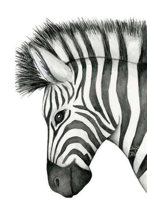Zebra Watercolour Art Print A4 Nursery Art Safari Etsy Australia