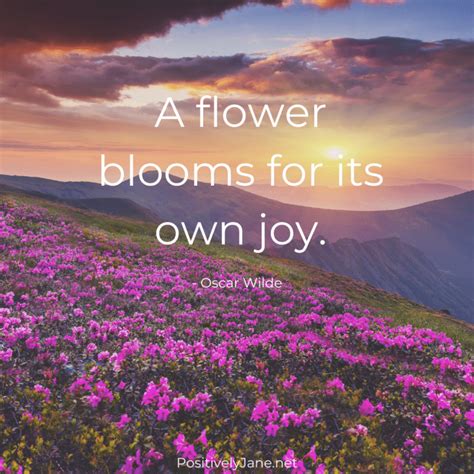 Joy Quotes 10 Inspiration Quotes About Joy Positively Jane
