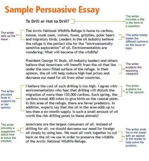 Opinion Article Examples For Kids Persuasive Essay Writing Prompts