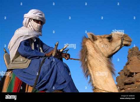 Libya Tuareg Camel Africa Desert Hi Res Stock Photography And Images