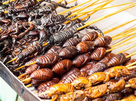 Das man in deutschland`s gaststätten für 4 personen mit 50 euro ( 100 dm ) beim essen nicht mehr weit kommt, dürfte ja klar sein. Ekelalarm: Essen aus aller Welt | Urlaubsguru.de
