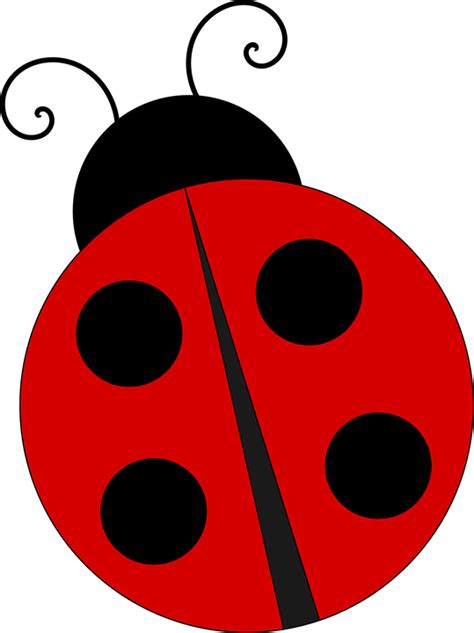 Ladybug Ladybird Nature · Free Vector Graphic On Pixabay