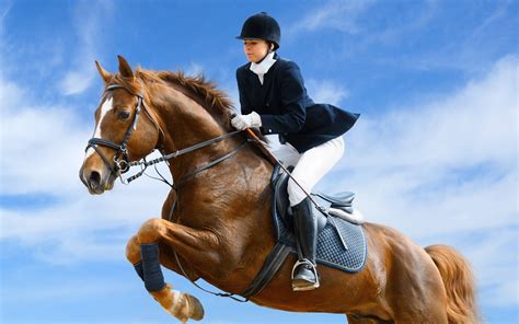 Beautiful Horse And Jockey Wallpaper Hd Widescreen Horses