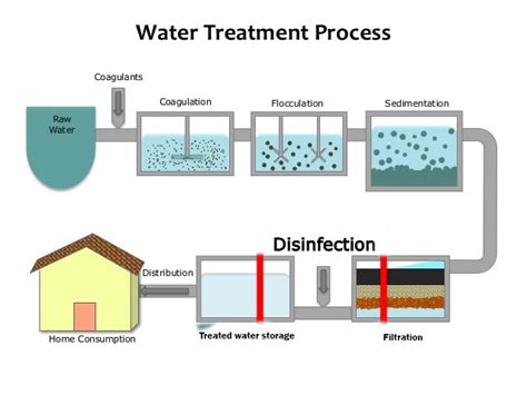 Steps Of Water Purification Process Online Biology Notes