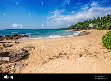 Tropical Sandy Beaches Near Unakuruwa On The South Coast Of Sri Lanka