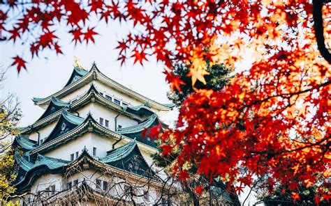 How to Fly to Japan for Only $392 Round-trip | Travel + Leisure