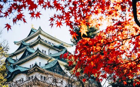 Japan is an island country in east asia, located in the northwest pacific ocean. How to Fly to Japan for Only $392 Round-trip | Travel ...