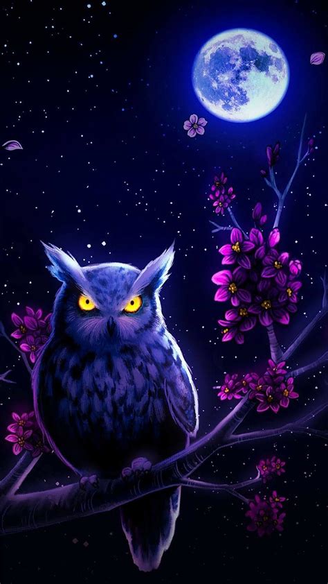 Night Owl Plaatjes Van Uilen Geschilderde Uilen Uil Illustraties