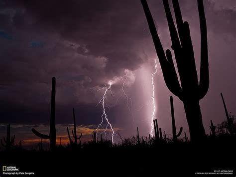 Hd Wallpaper Storm Lightning Cactus Desert Clouds Shadow Silhouette Hd