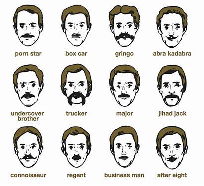 Mustache Types Type Mustaches Different Beard Three