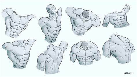 Muscular Male Body Anime Chest Drawing Img Gleep