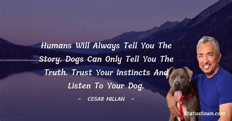 Humans Will Always Tell You The Story Dogs Can Only Tell You The Truth