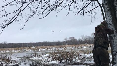 Mallards In A Blizzard Wisconsin Duck Hunting 2019 Youtube