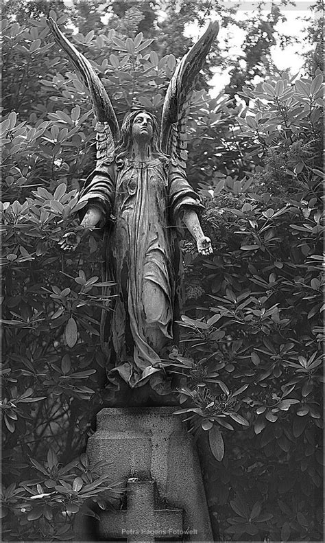 Friedhof Ohlsdorf Angels Among Us Angels And Demons Cemetary Statue