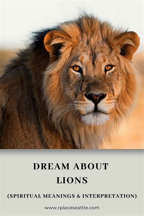 Dream About Lions Spiritual Meanings And Interpretation