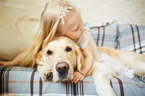 Las Mejores Razas De Perros Para Niños Autistas