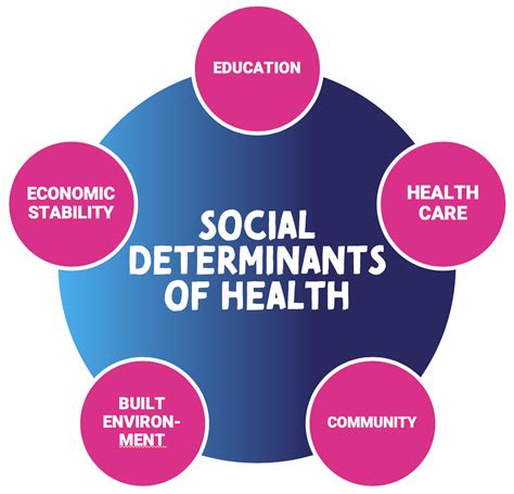 Social Determinants Of Health Essays Help Nursing Research Help