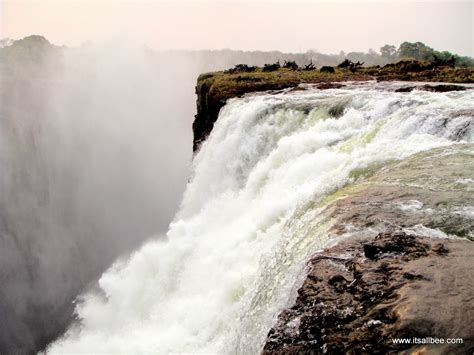 a livingstone island tour on victoria falls a dip in the devil s swimming pool itsallbee