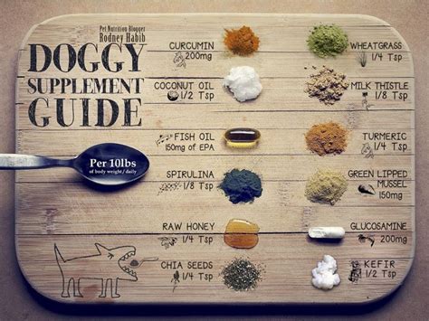 Working with a registered dietitian can help you plan a healthy diet, improve your blood sugar control, lose weight, and better manage type 2 diabetes. Doggy Supplement Chart (With images) | Raw dog food ...