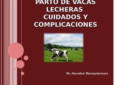 Cosas tipicas de las vacaciones|dos locas desgraciadas. (PPT) Distocia en vacas | Edgar Ferreira - Academia.edu