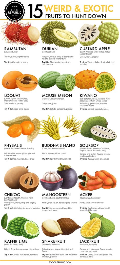 Guide To Exotic Fruits Coolguides