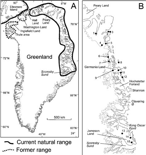 A Modern Natural And Former Natural Range Of Musk Ox In Greenland And