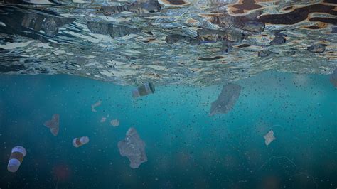 Plastic Bags And Containers Make Up 70 Of Israels Med Red Sea Trash