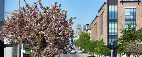 A city of southern ontario, canada, southwest of toronto. City of Brantford