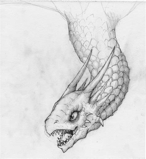 Pencil Dragon Sketch By Harley Owen On Deviantart