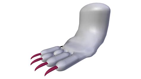 Felicia Catwoman Form Foot Wip 5 By Blood Pawwerewolf On