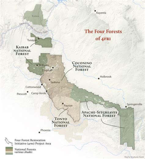 Arizona Forests Four Forest Restoration Initiative Grand Canyon Trust