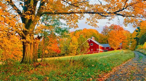 Landscape View Of Red Color House Yellow Green Autumn Leaves Trees