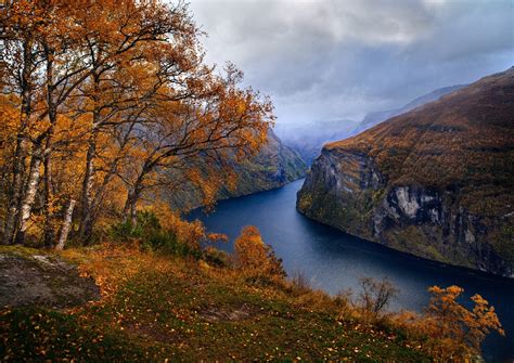 Nature Landscape Fjord Norway Fall Trees Grass Mountain Clouds