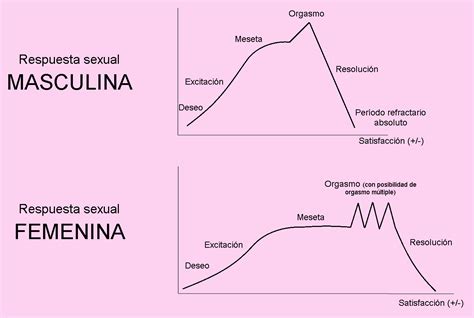 el ciclo de la respuesta sexual psicólogos en valencia