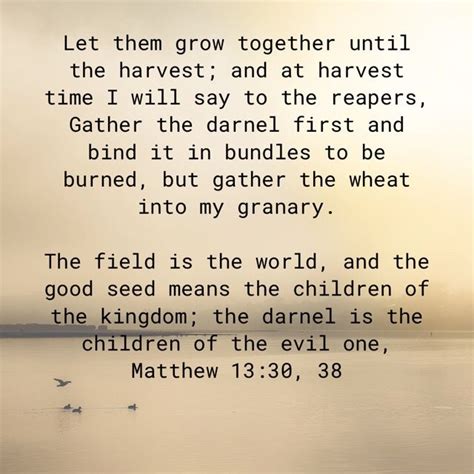 Matthew 133038 Let Them Grow Together Until The Harvest And At
