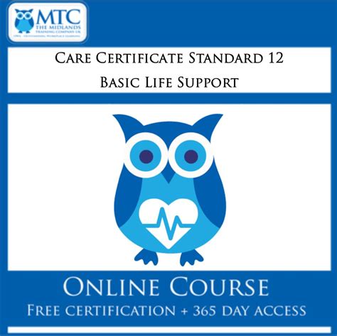Care Certificate Standard 12 Online Training Course Cpduk Accredited