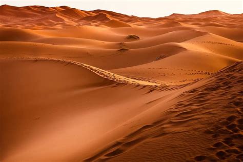 Desert Morocco Sand Dune Dry Landscape Dunes Sahara Gobi Desert