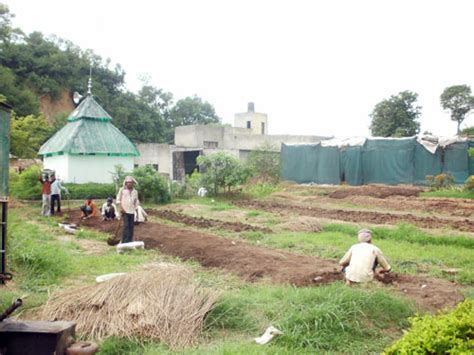 Sunny Organic Farms Una Himachal Pradesh