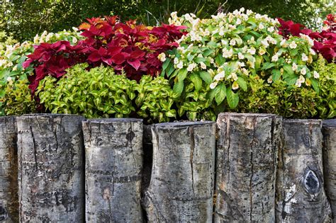 You don't need to spend a fortune either as there are plenty of cheap ways to fence off your yard space, without compromising on that pop of color or cool design either. Buntnessel im Garten » Pflanzen und pflegen
