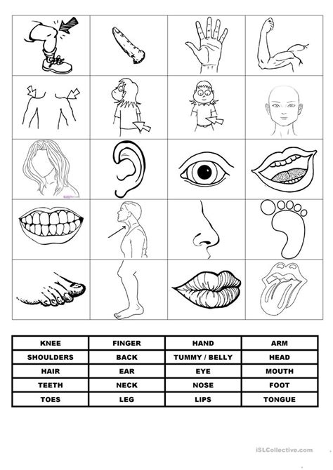 Esl body parts work sheets. memory game on body parts - English ESL Worksheets for ...
