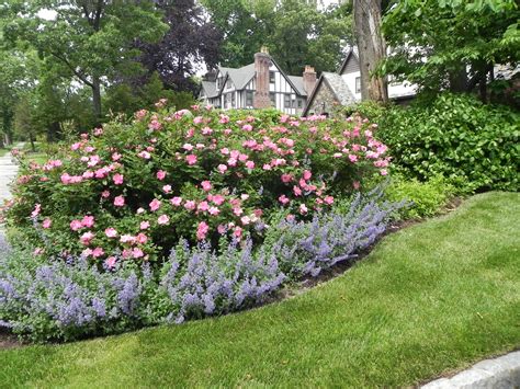 21 Simple Rose Garden Design Ideas You Cannot Miss Sharonsable