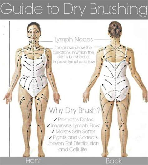 Pin On Dry Brushing How
